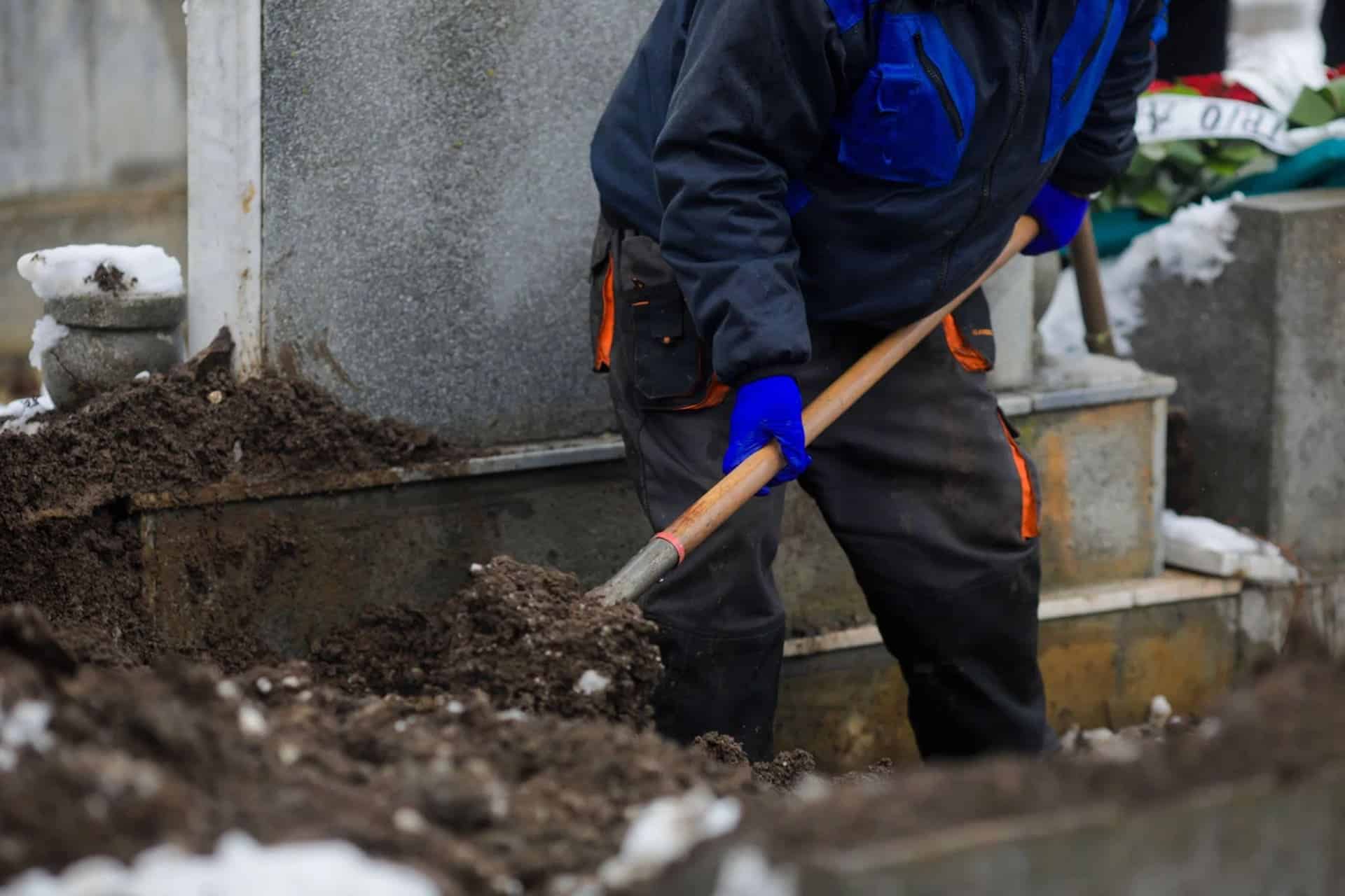 Image 7 de la galerie